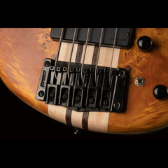 Cort A5 PLUS SC - Amber