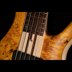 Cort A5 PLUS SC - Amber