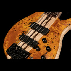 Cort A5 PLUS SC - Amber