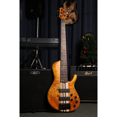 Cort A5 PLUS SC - Amber