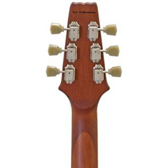 Close-up of a guitar headstock with tuning pegs on a white background