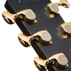 Cort ROSELYN REDUX Masterpiece Series A/E Guitar - Natural Glossy