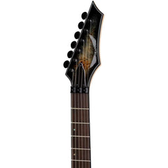 Dean Guitars EXILE SELECT Floyd Fluence - Natural Black Burst