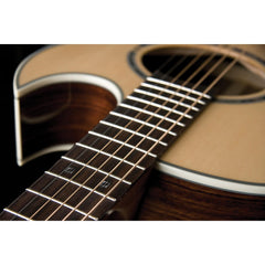 Washburn EA20S NUNO BETTENCOURT Festival Series A/E