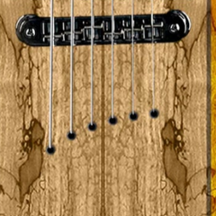 Diamond Guitars HAILFIRE SM - Trans Carmel