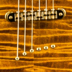 Diamond Guitars IMPERIAL EX SH - Tiger's Eye