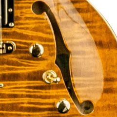 Diamond Guitars IMPERIAL EX SH - Tiger's Eye